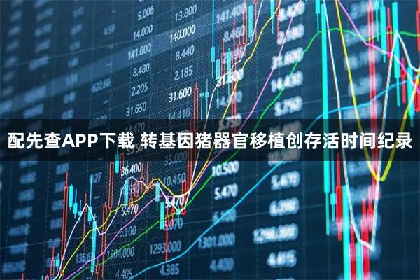 配先查APP下载 转基因猪器官移植创存活时间纪录
